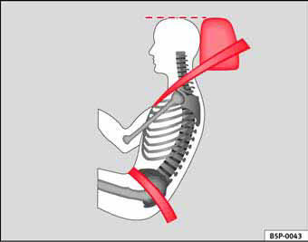 Fig. 13 Banda del cinturón y apoyacabezas ajustados correctamente, vistos lateralmente