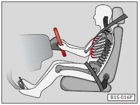 Le recomendamos ajustar el asiento del conductor de la siguiente forma: