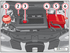 Motor gasolina