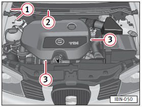 1 – La placa del modelo. 2 – El número de identificación del vehículo 3 –