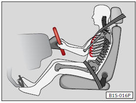 Le recomendamos ajustar el asiento del conductor de la siguiente forma: