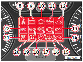 18 – Regulador antipatinaje de las ruedas motrices (TCS)*